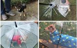 Pet Umbrella, Dog Umbrella with Leash Snow-Proof Rain Proof Windproof Umbrella