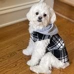 Weekender Dog Sweatshirt Hoodie - Black & White Plaid Flannel (size: large)