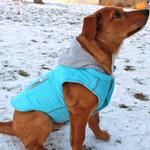 Weekender Dog Sweatshirt Hoodie - Light Blue (size: large)