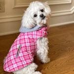 Weekender Dog Sweatshirt Hoodie - Pink & White Plaid (size: large)